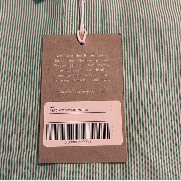 Everlane The Relaxed Oxford Shirt Mint Stripe Size 12 - NWT - Picture 4 of 7